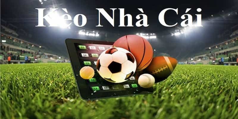 Độ tin cậy cao